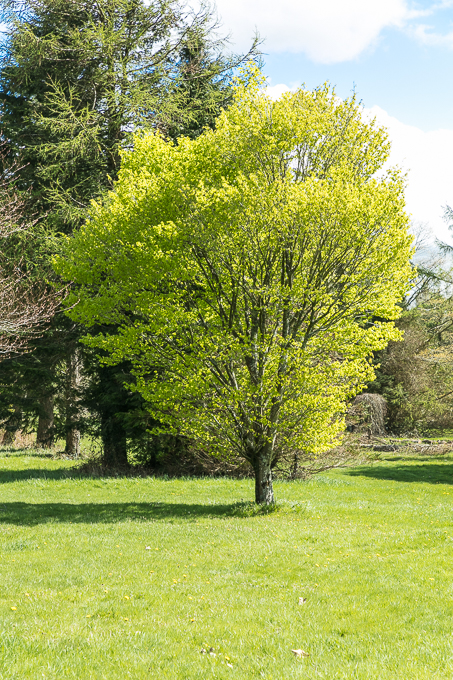 Kennedy Park 2018 (010)